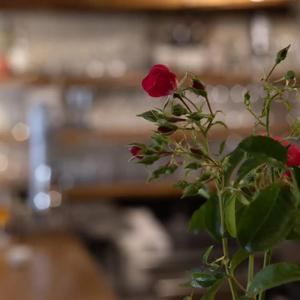 bouquet de rose chez Jano Resto-bistro restaurant gastronomique